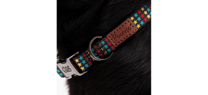  Great&Small Penrose Triple Star Black Collar