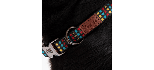  Great&Small Penrose Triple Star Black Collar