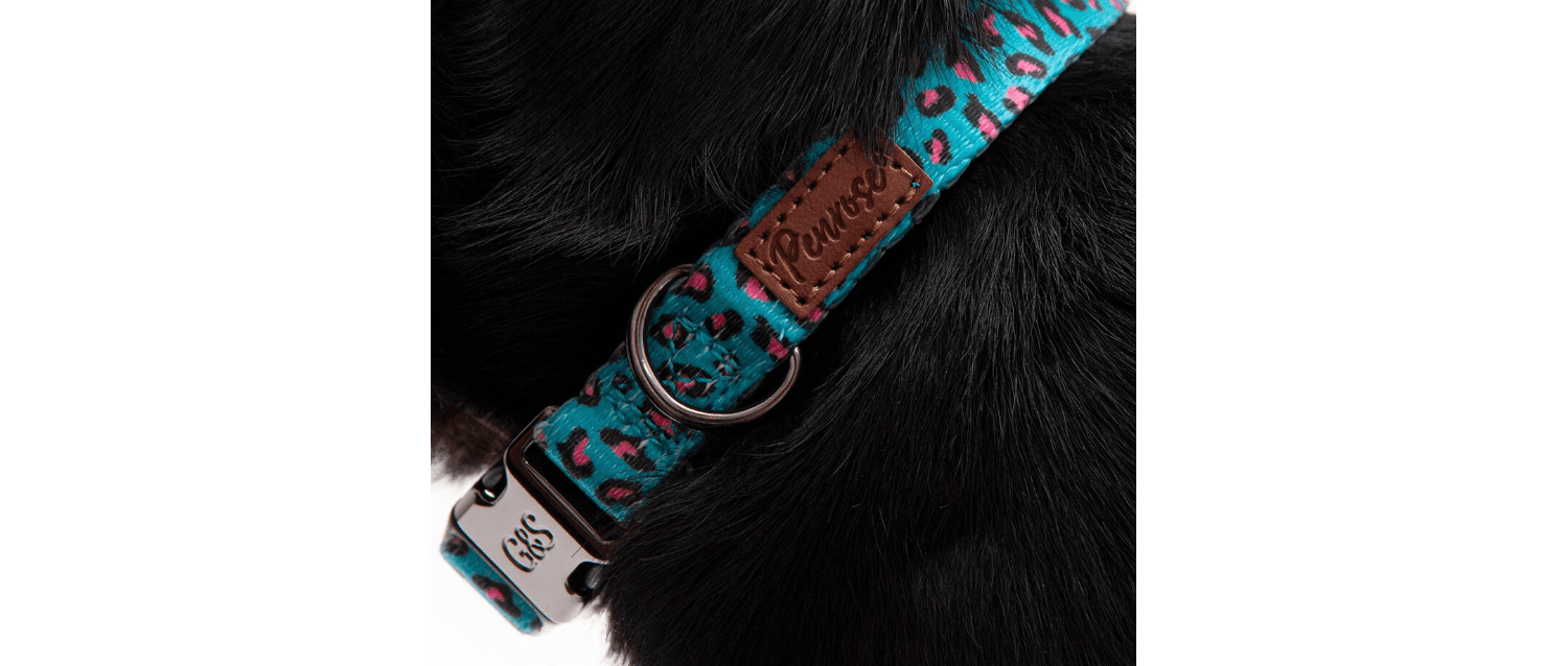  Great&Small Penrose Leopard Pink Spot Collar