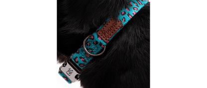  Great&Small Penrose Leopard Pink Spot Collar