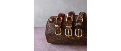  Great&Small Hawkhurst Tweed Leather Collar