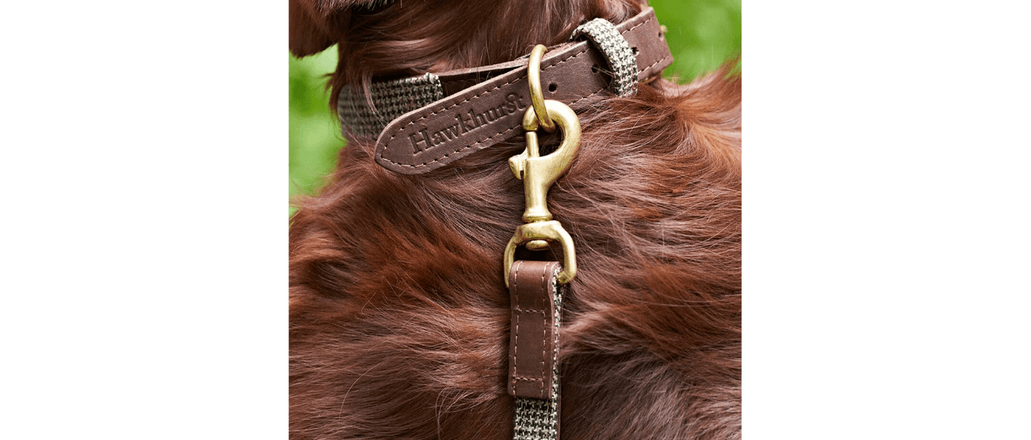  Great&Small Hawkhurst Tweed Leather Collar