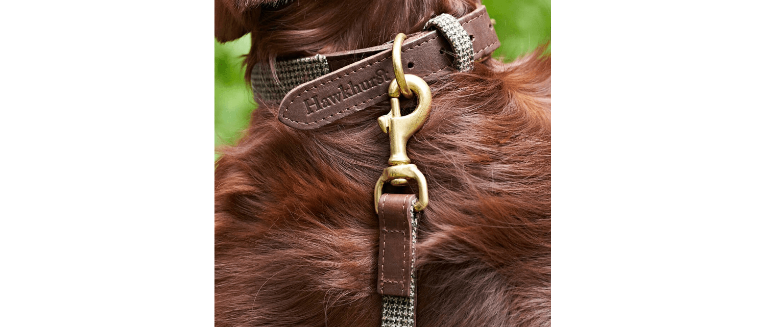 Great&Small Hawkhurst Tweed Leather Collar