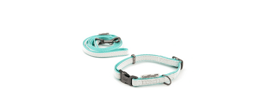  Great&Small Blue Tiffany Puppy Collar & Lead