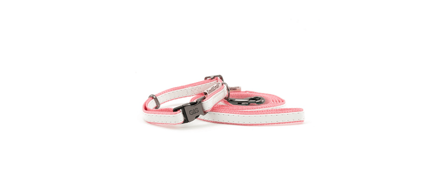  Great&Small Pink Tiffany Puppy Collar & Lead
