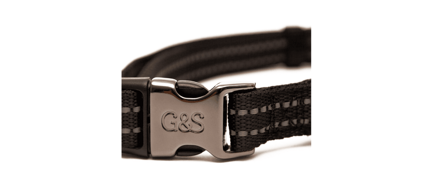  Great&Small Glow Reflective Black Collar