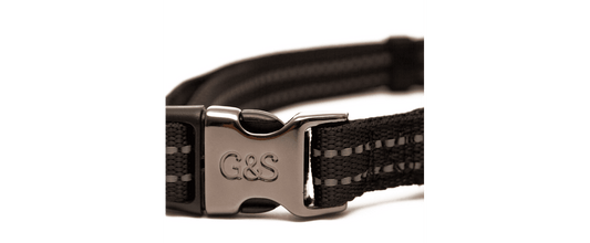  Great&Small Glow Reflective Black Collar