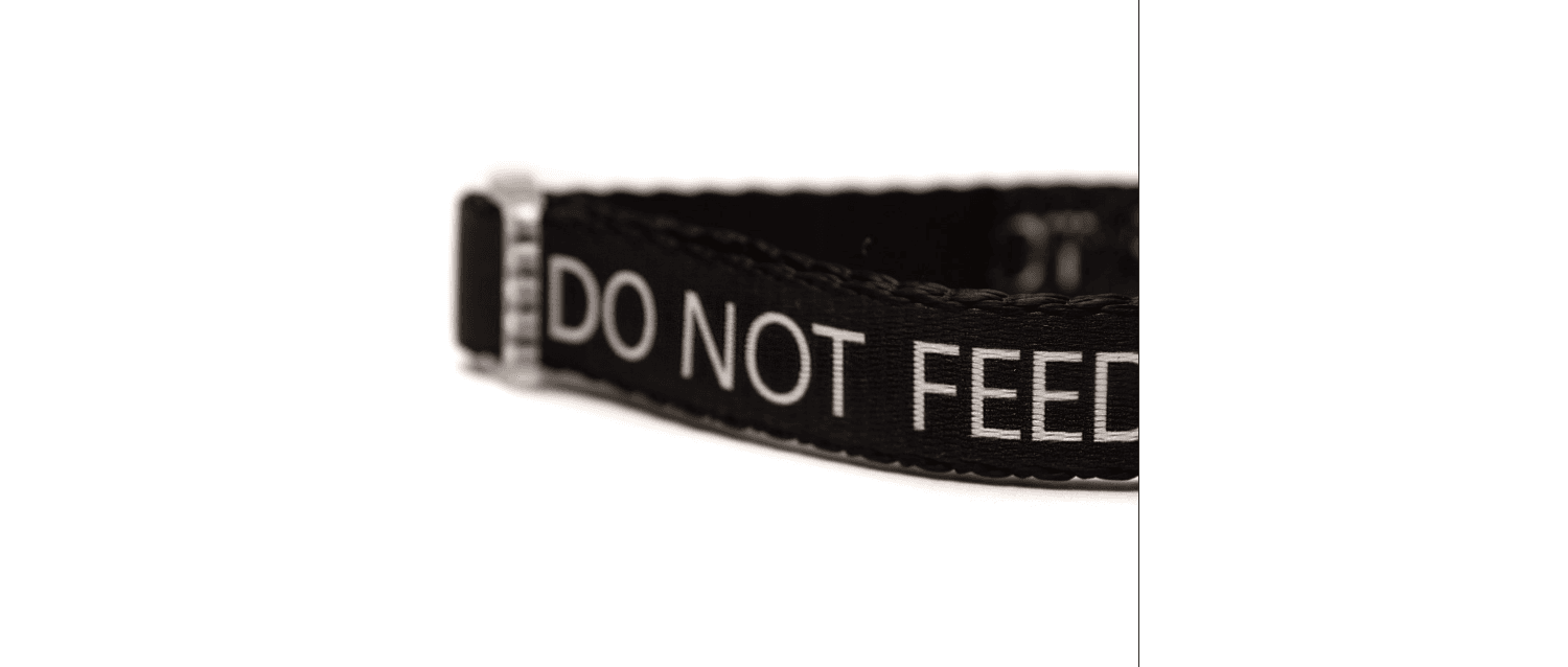  Great&Small Classic Do Not Feed Black Collar