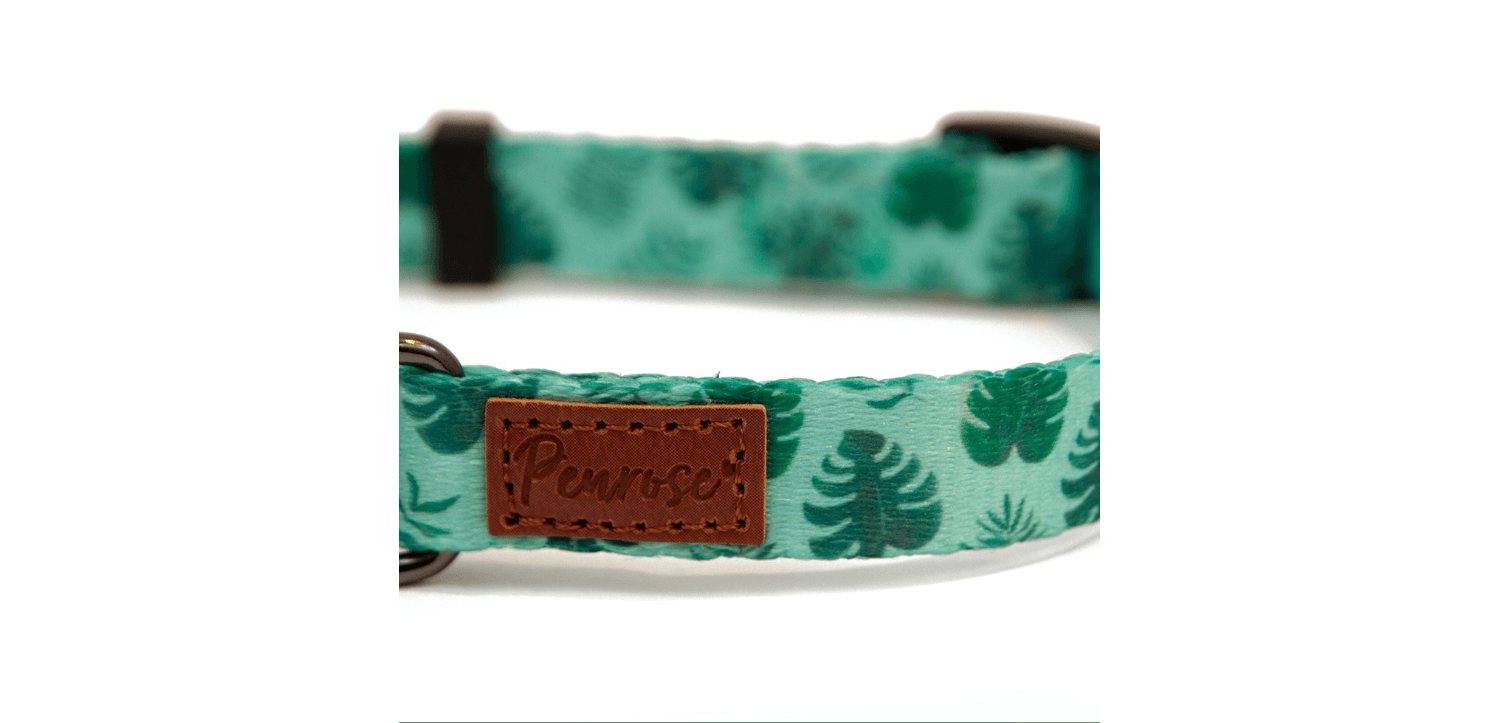 Great&Small Penrose Palm Leaf Green Collar