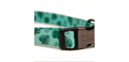  Great&Small Penrose Palm Leaf Green Collar
