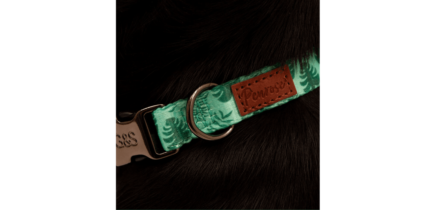  Great&Small Penrose Palm Leaf Green Collar