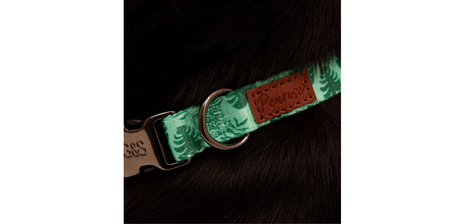  Great&Small Penrose Palm Leaf Green Collar