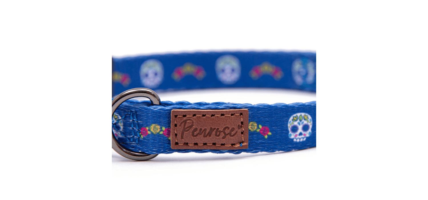  Great&Small Penrose Day Of The Dead Blue Collar