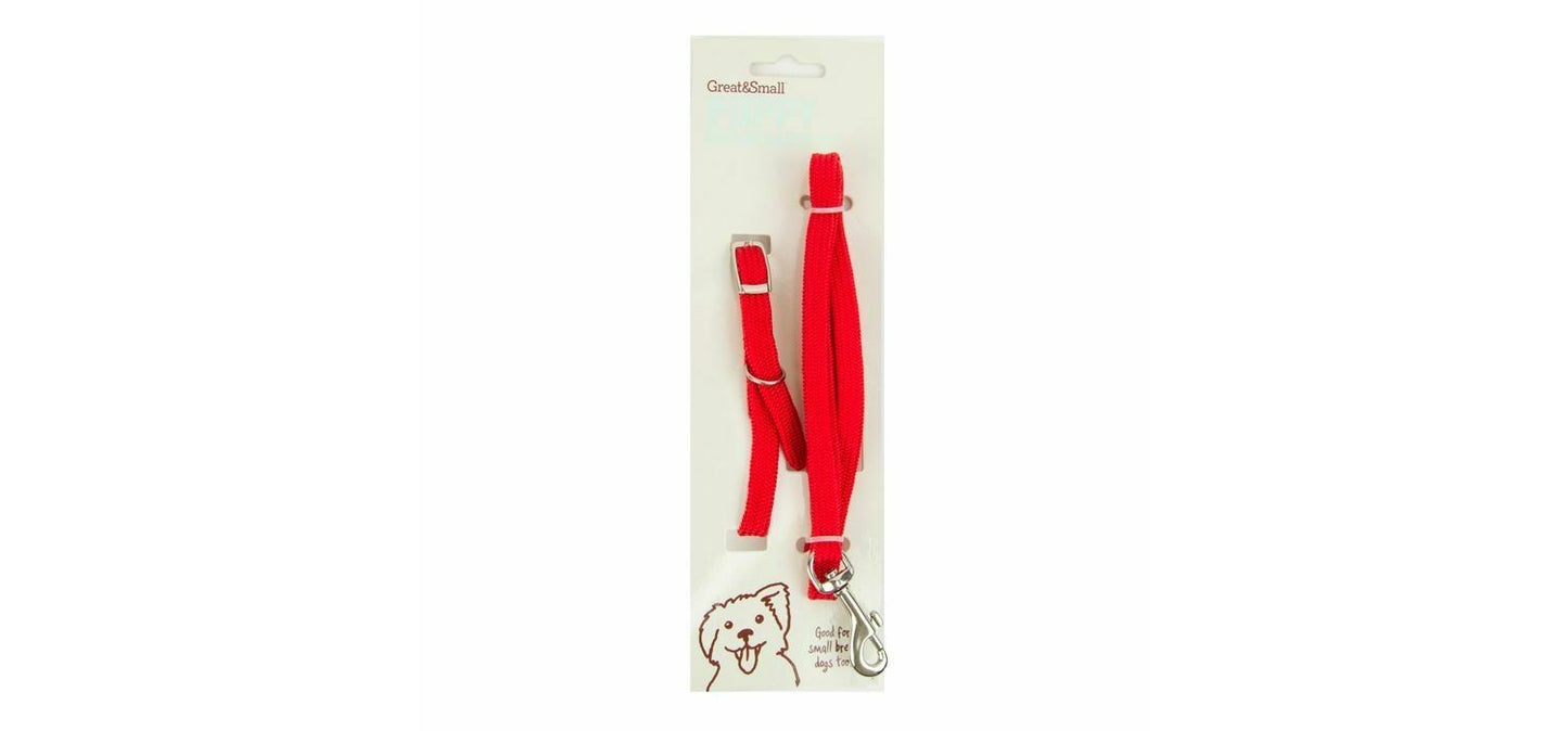  Great&Small Red Puppy Collar & Lead Set