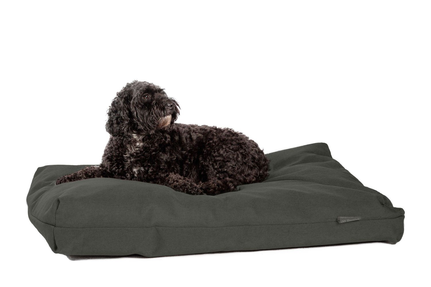  Danish Design Antibacterial Dog Bed In Green