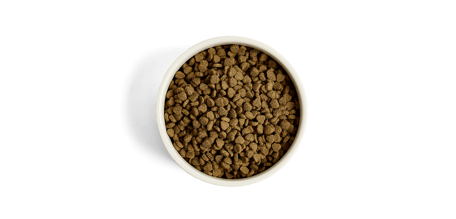  GreenAcres Puppy Turkey & Rice
