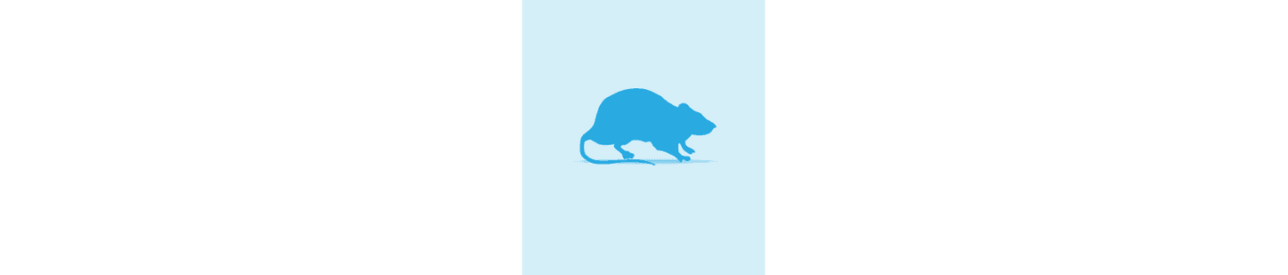  Monkfield Frozen Weaner Rats